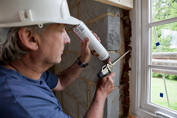 Best Insulation Installation Services in Caoncito, NM